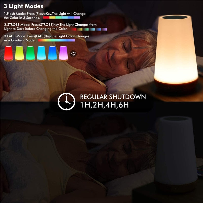 Portable Night Lamp 13 Colorful Display