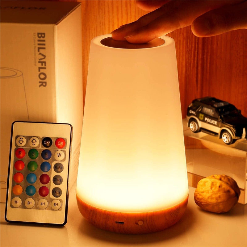 Portable Night Lamp 13 Colorful Display